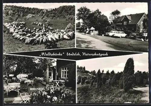 AK Undeloh üb. Buchholz, Gasthaus Waldschänke