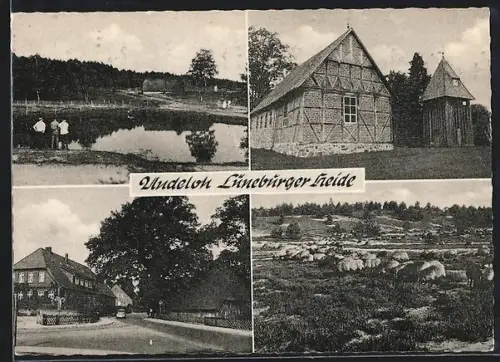 AK Undeloh /Lüneburger Heide, Strassenpartie, Fachwerkhaus, Heide mit Schafen