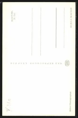 AK Brandenburg /Havel, St. Petri mit Dom