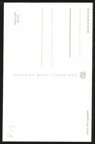 AK Brandenburg / Havel, Ansicht der St. Katharinen-Kirche