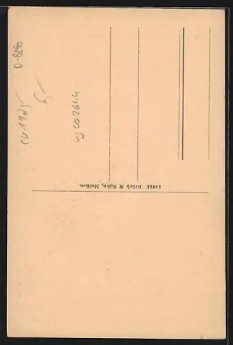 AK Kamenz, Blick zur Hauptkirche