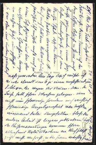 AK Pirna a. d. Elbe, Inneres der Marienkirche