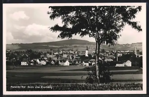 AK Pulsnitz /Sa., Blick vom Eierberg