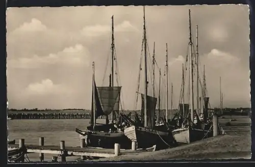 AK Stahlbrode /Grimmen, Hafen mit Segelbooten