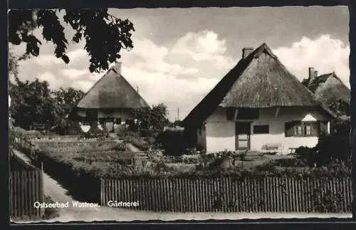 AK Wustrow / Ostseebad, In der Gärtnerei
