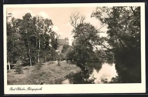 AK Bad Oldesloe, Partie im Bürgerpark
