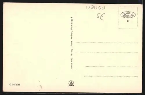 AK Bad Oldesloe, Partie im Bürgerpark