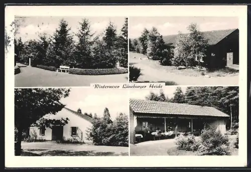 AK Wintermoor /Lüneburger Heide, Strassenpartie am Wald