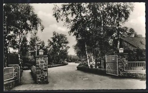 AK Wintermoor /Lüneburger Heide, Strassenpartie mit Tor