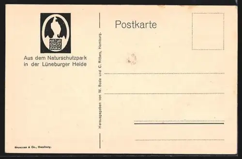 AK Wilsede /Lüneburger Heide, Partie im Ort