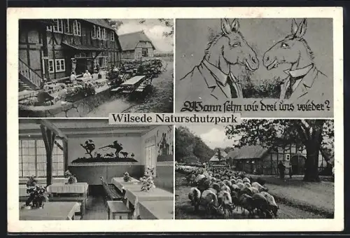 AK Wilsede /Soltau, Gasthaus Heidemuseum, Inh. Dora Hinrichs, Naturschutzpark