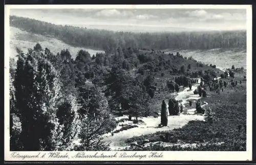 AK Wilsede, Totengrund, Naturschutzpark aus der Vogelschau