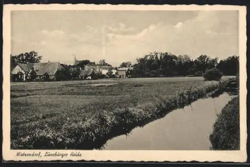 AK Wietzendorf / Lüneburger Heide, Ortsansicht mit Wiese