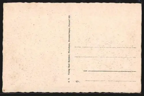 AK Wietzendorf / Lüneburger Heide, Ortsansicht mit Wiese