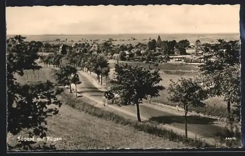 AK Sagard auf Rügen, Blick auf eine Strasse