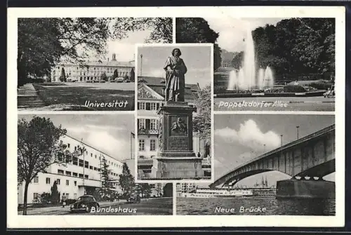 AK Bonn, Universität, Poppelsdorfer Allee, Bundeshaus, Neue Brücke