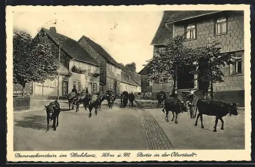 AK Benneckenstein im Hochharz, Viehtrieb in der Oberstadt