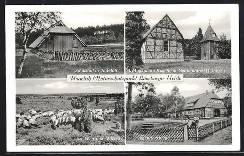 AK Undeloh /Lüneburger Heide, Schafstall, St. Magdalena-Kapelle, Jugendherberge