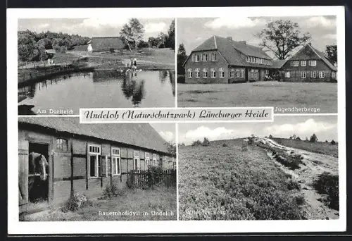 AK Undeloh /Lüneburger Heide, Am Dorfteich, Jugendherberge, Bauernhofidyll, Wilseder Berg