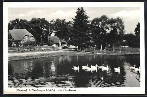 AK Undeloh /Lüneburger Heide, Am Dorfteich