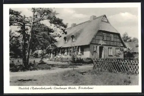 AK Undeloh /Lüneburger Heide, Blick zum Forsthaus