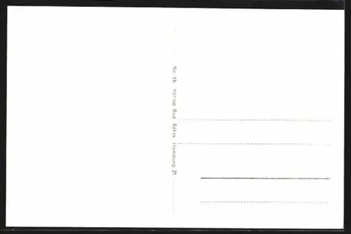 AK Undeloh /Lüneburger Heide, Blick zum Forsthaus