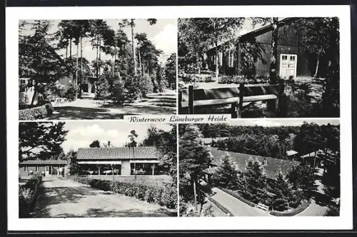 AK Wintermoor /Lüneburger Heide, Partie mit Häusern und Bäumen