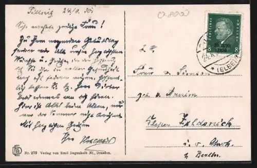 AK Dresden-Pillnitz, Schlossgarten mit Neuem Palais