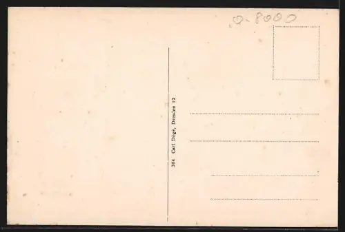 AK Dresden-Pillnitz, Partie an der Wettinsäule