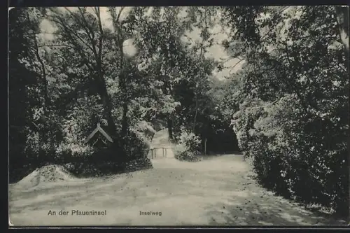 AK Pfaueninsel /Berlin-Wannsee, Inselweg