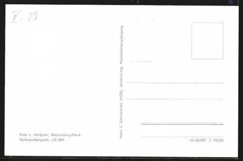 AK Rheinsberg /Mark, Schloss mit Teich, Sanatorium Helmut Lehmann