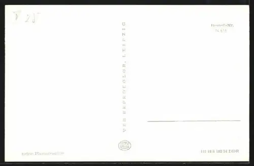 AK Brandenburg /Havel, Steintorturm mit Steinstrasse