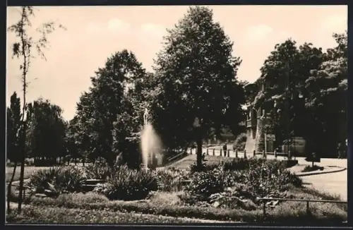 AK Alsleben /Saale, Städtische Anlagen, Springbrunnen, Park