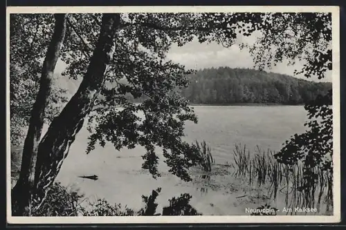 AK Neuruppin, Am Kalksee