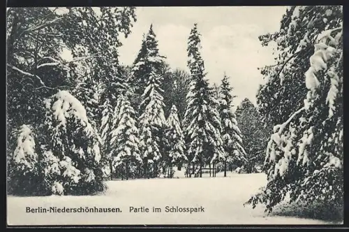 AK Berlin-Niederschönhausen, Partie im Schlosspark