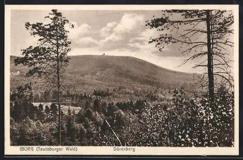AK Iburg /Teutoburger Wald, Dörenberg