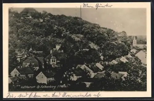 AK Falkenberg /Mark, Ortsansicht mit Kirche und bewaldetem Hügel