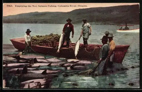 AK Oregon, Columbia River, Emptying the Net. Salmon Fishing, Fischerei