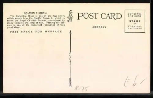 AK Oregon, Columbia River, Emptying the Net. Salmon Fishing, Fischerei