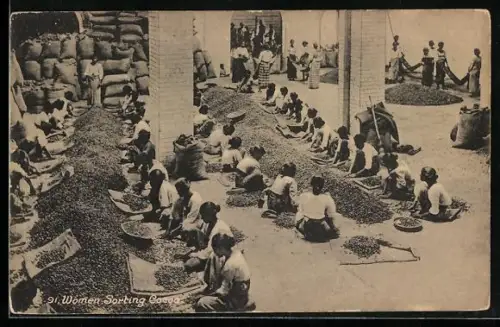 AK Women sorting Cocoa, Frauen sortieren Kakao
