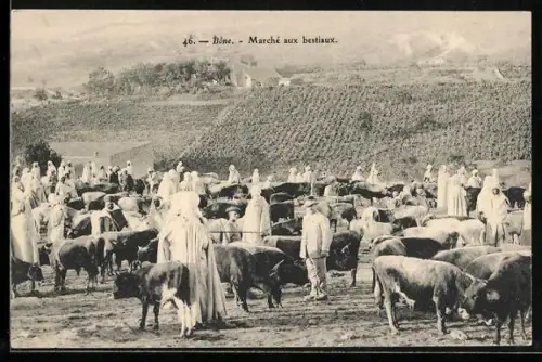 AK Bône, Marché aux bestiaux, Marktszene