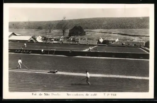 AK Sao Paulo, Secadores de cafe, Kaffeeanbau
