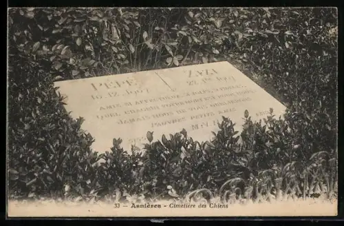 AK Asnières, Cimetière des Chiens, Hundefriedhof