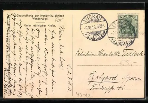 AK Brandenburgische Wandervögel, Unter märkischer Kiefer