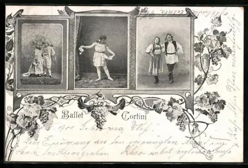 AK Ballet Cortini, Mehrfachansicht, Weintrauben