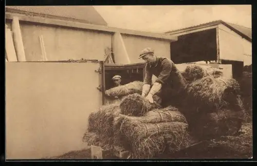 AK Het ledigen van den bassin, Arbeiter verladen geernteten Flachs