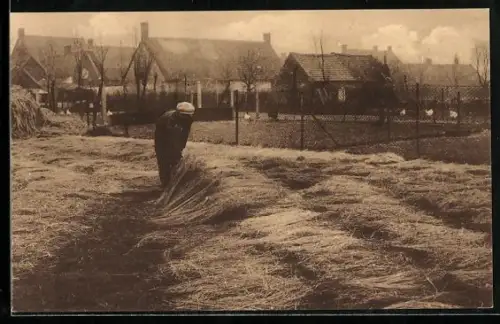 AK Flachs ausgelegt auf einem Feld