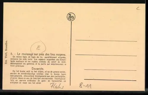 AK Flachs ausgelegt auf einem Feld