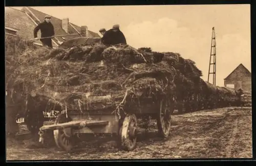 AK Flachs-Bündel auf einem Karren