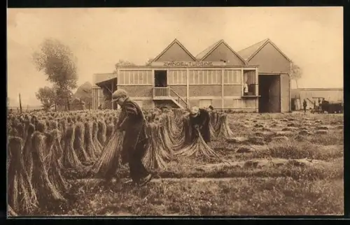 AK Ernte von Flachsbündeln
